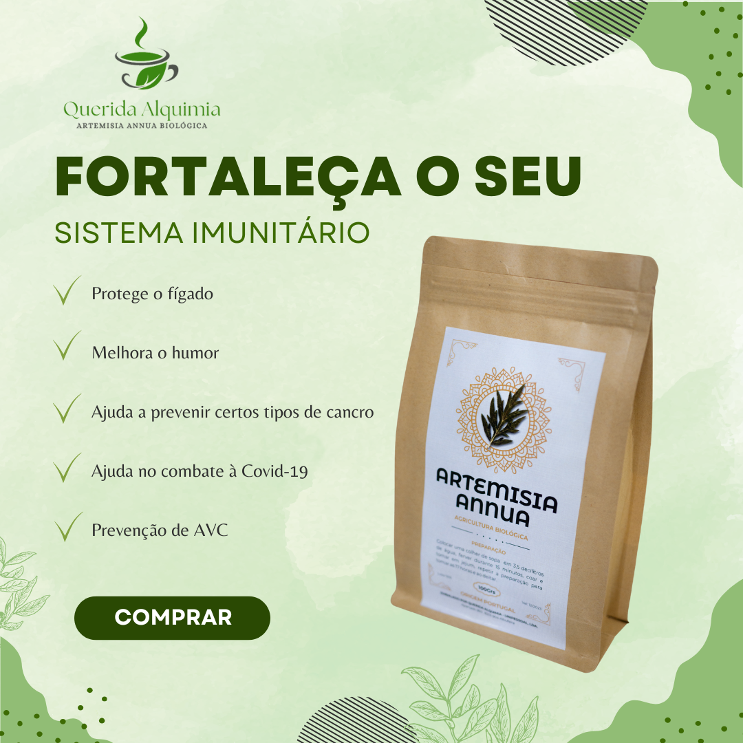 opção 1